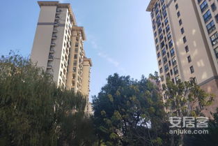 深入解读 东方帕堤欧公寓住宅的优劣与周边经纪人评价