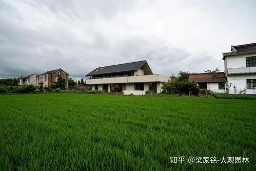 年过六旬老夫妇的乡村住宅改造 一方真正的乌托邦净土