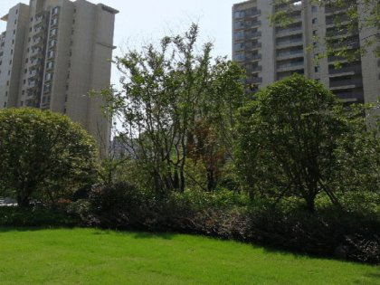 华润新鸿基之江九里公寓住宅深度解析 优点、不足与中介评价